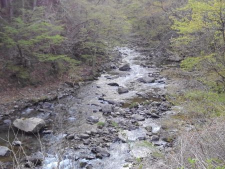 渓流ミノーイング ～長良川水系～